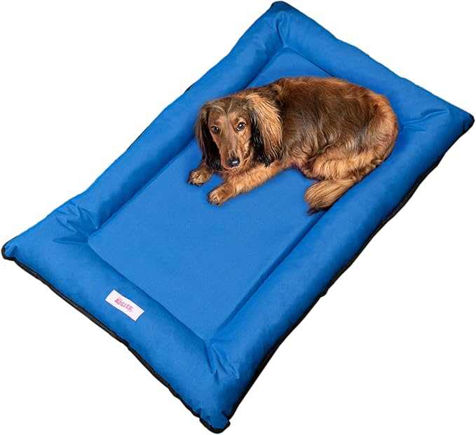 DBD3004D-M Archie 29.5" x 22.5" Traditional Oxford Waterproof Indoor/Outdoor Hand-Washable Memory Foam Camping Pet Bed, Cobalt