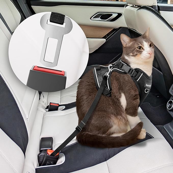 Cat Harness, Cat Harness and Leash for Walking, Adjusted in Four Directions and Breathable Cat Harness for Anti Escape that can be Fitted and Positioned, Reflective Strips Harness, Black, XS