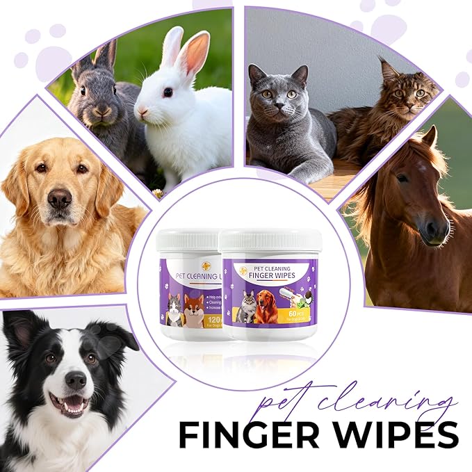 MeCids Dogs Dental Cleaning Finger Wipes 60PCS Pet Teeth Cleaning Tool Teddy Pet Small Dog Cat Cleaning Supplies