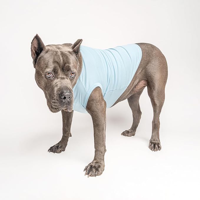 Uruguay Flag Soccer Jersey Style Dog Tee Shirt | Sleeveless Breeds | International Soccer | Game Day |Light Blue, Medium 1656