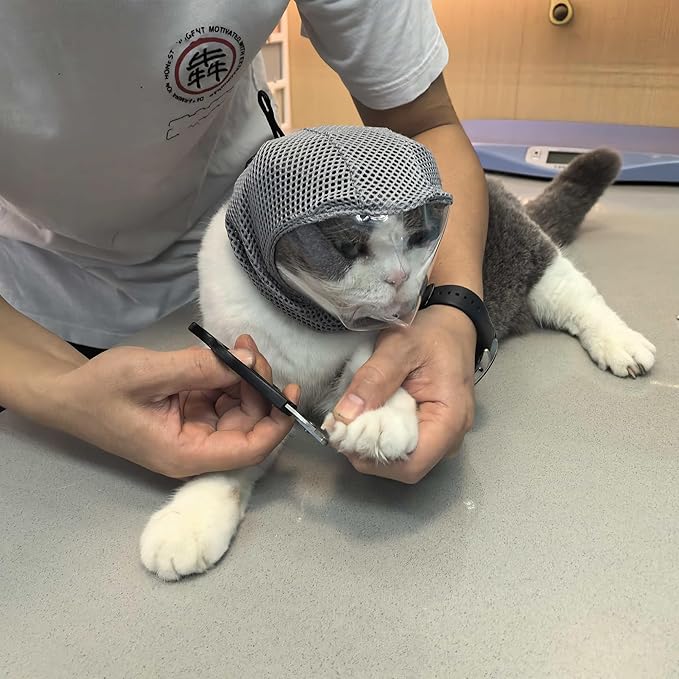 Cat Muzzle for Grooming, Adjustable Transparent Anti-Bite Cat Mask for Nail Clipping (Grey S)