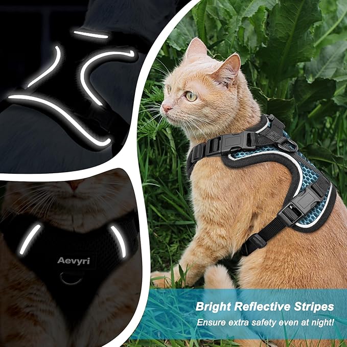 Cat Harness and Leash for Walking Escape Proof Soft Adjustable Cat Leash Breathable Honeycomb Structure Comfortable Vest Easy to Wear Kitten Harness for Outdoor Travel, Honeycomb Blue, L