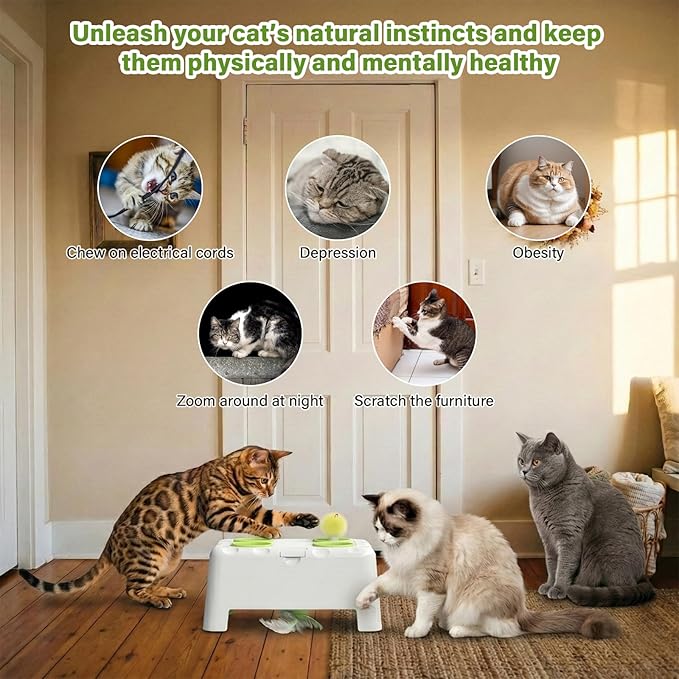 Magic House Interactive Cat Toy with 3 Modes, Rechargeable Whack-a-Mole Feather Toy for Indoor Cats, 4 Holes & 4 Accessories