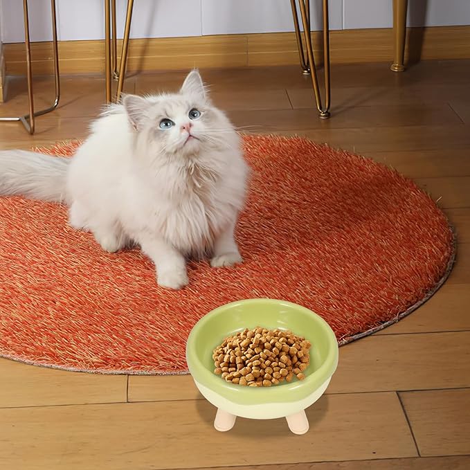 VICASKY Raised Cat Bowl and Elevated Kitten Food Dish with Neck Protection, Tilted Design in Grass Green, Anti-Vomit Pet Feeding and Watering Bowl for Cats and Kittens