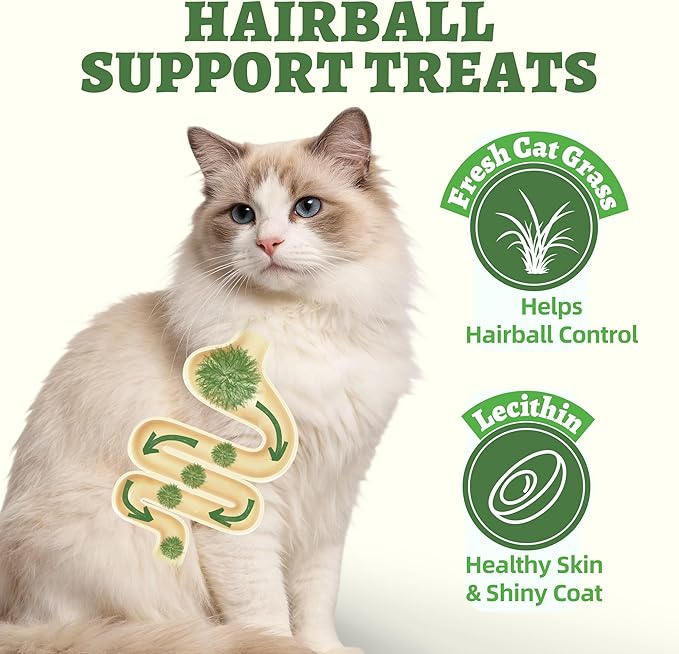Wellix Cat Grass Treats Freeze-Dried Donut for Cats & Dogs - Hairball Control,Gut Health for Dental Cat Treats - Natural Teeth Cleaning for Kittens Training Snacks Chicken Formula 3.17 oz