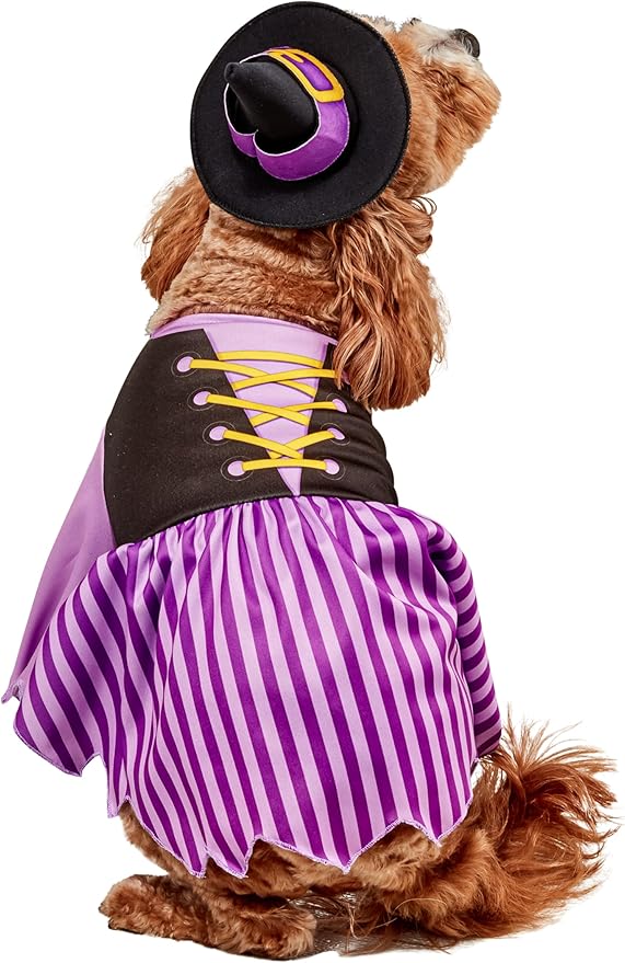Rubies Witch Pet Costume for Dogs or Cats, Small