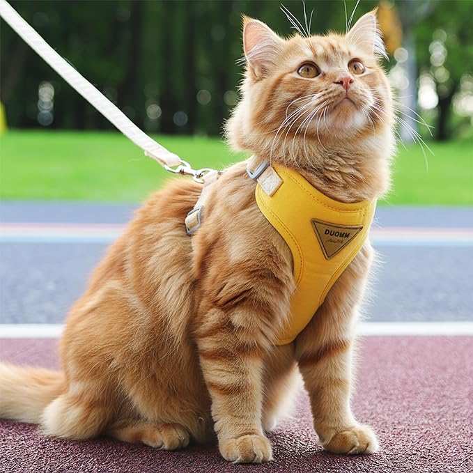 Escape-Proof Cat Harness and Leash Set - Adjustable and Comfortable - Ideal for Walking Cat Outdoors - Fits Small Dogs, Kittens, Medium, and Large Cats (Yellow, XS)