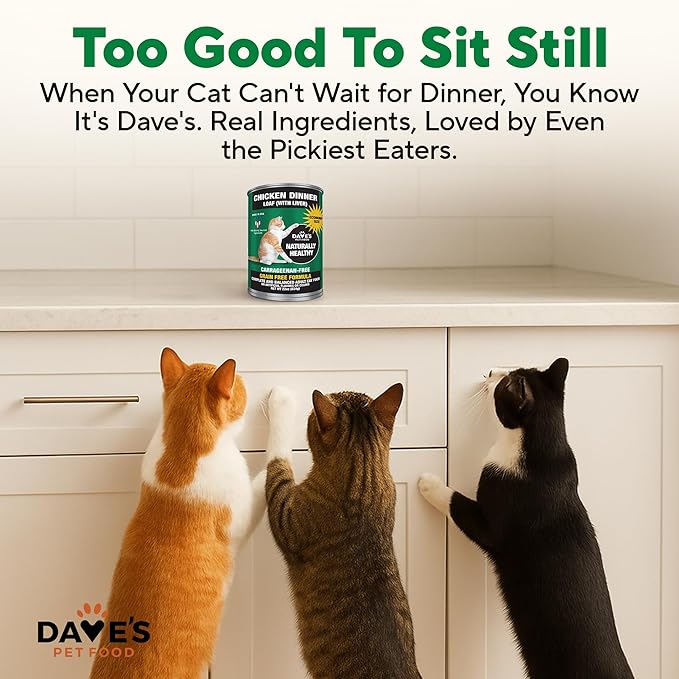 Dave's Pet Food Grain Free Wet Cat Food Pate (Chicken), Made in USA Naturally Healthy, Economy Size, Multi-Cat Families, Canned, 22 oz Cans (12 Pack)