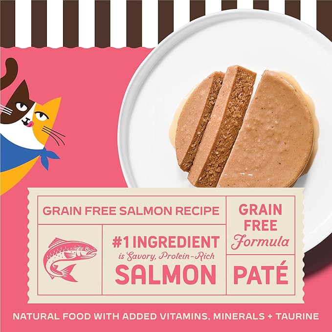 Merrick Purrfect Bistro Grain Free Premium Soft Canned Pate Adult Wet Cat Food, High Protein Salmon Recipe - (Pack of 24) 3 oz. Cans