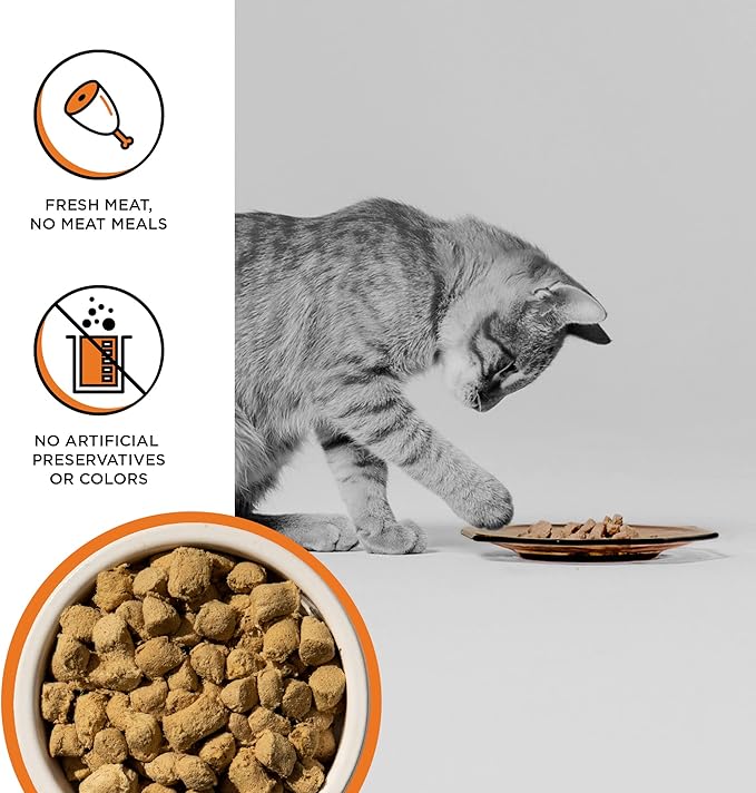 BIXBI Rawbble Freeze Dried Cat Food, Chicken Recipe, 10 oz - 95% Meat and Organs, No Fillers - Pantry-Friendly Raw Cat Food for Meal, Treat or Food Topper - USA Made in Small Batches