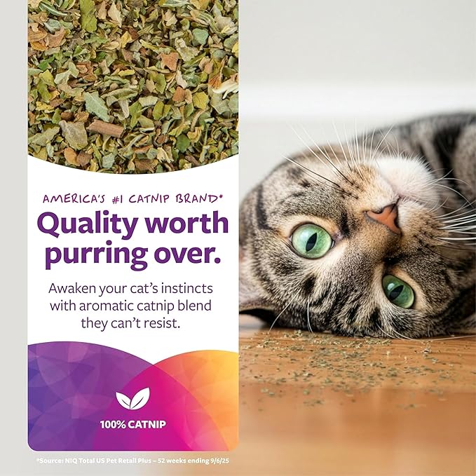 SmartyKat Natural Catnip for Cats and Kittens, 100% Natural Cat Nip for Cats, Premium Dried Catnip for Indoor Cats, Positive Training Aid for Play and Exercise, 0.5 Ounces Pouch