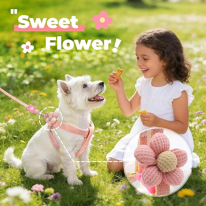 PETCARE Cute Flower Dog Harness and Bowtie Leash Set Easy Walk Puppy Dog Halter Harnesses for Small Dogs Girl Step in Dogs Harness with Buckle (Pink, Chest Adjustable 13"-20", Rope Width 0.79")