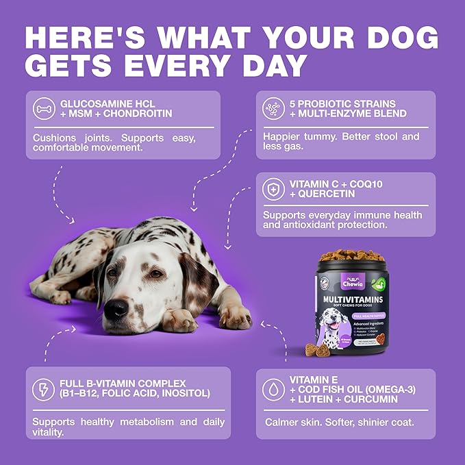 Dog Vitamins 15 in 1 - Dog Multivitamin Chews with MSM for Hip & Joint Health - Dog Supplement for Itchy Skin Relief - Multivitamin for Dogs Immune Support with Enzymes - Skin & Coat, Mobility Support