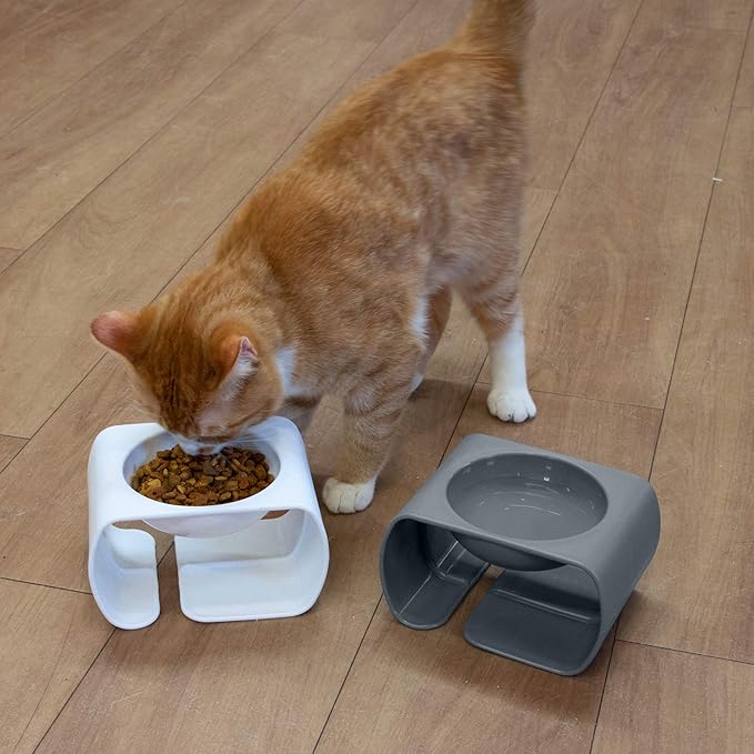 Kitty City Raised Cat Food Bowl Collection/Stress Free Pet Feeder and Waterer and Slow Feed Bowls