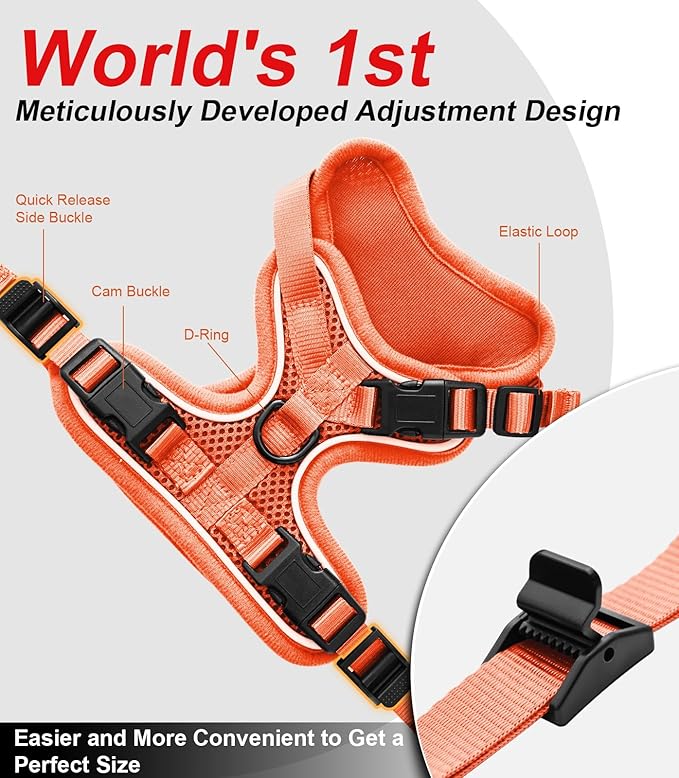 Cat Harness and Leash for Walking Escape Proof Soft Adjustable Cat Leash Breathable Comfortable Vest Easy to Wear Kitten Harness for Outdoor Travel (Orange, M (13-18lb))