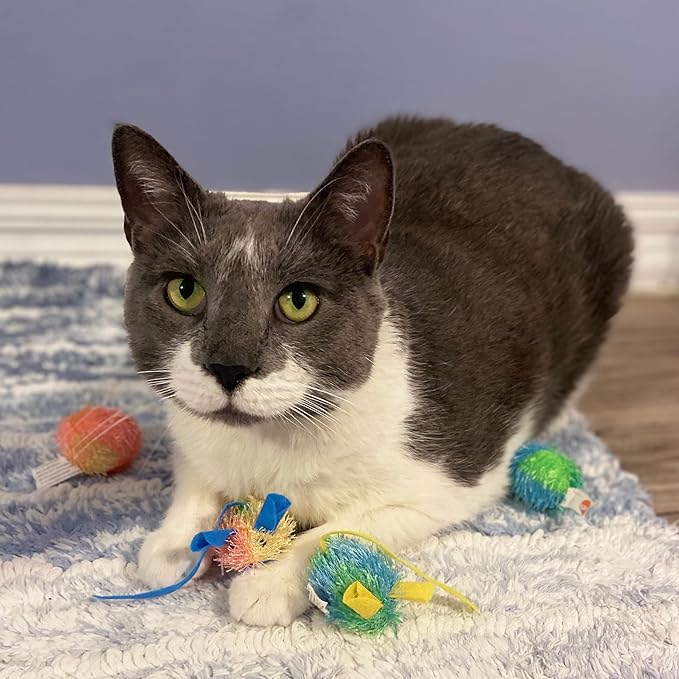 SPOT Stringy Mice & Balls - Catnip Cat Toys, Interactive, Colorful Plush Toys, Fun for Cats and Kittens to Bat and Chase, Boredom Buster - 2 Mice, 2 Balls