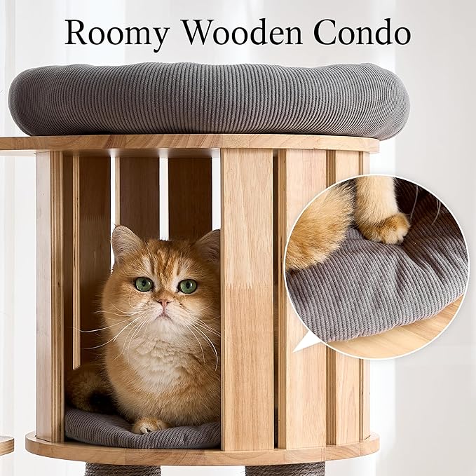 797Audio Wood Modern Cat Tree, 61.5" Tall Cat Tower with Sisal Scratching Posts, Cat Condo, Capsule and Ladder, Solid Wooden Aesthetic Multi-Level Cat Climbing Tree for Large Adult Indoor Cats-Gray