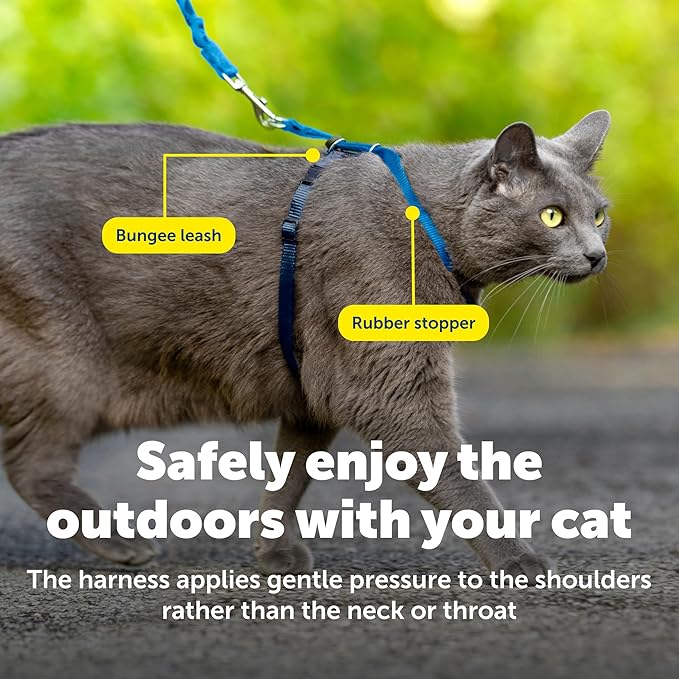 PetSafe Come with Me Kitty Harness and Bungee Leash - Medium, Royal Blue
