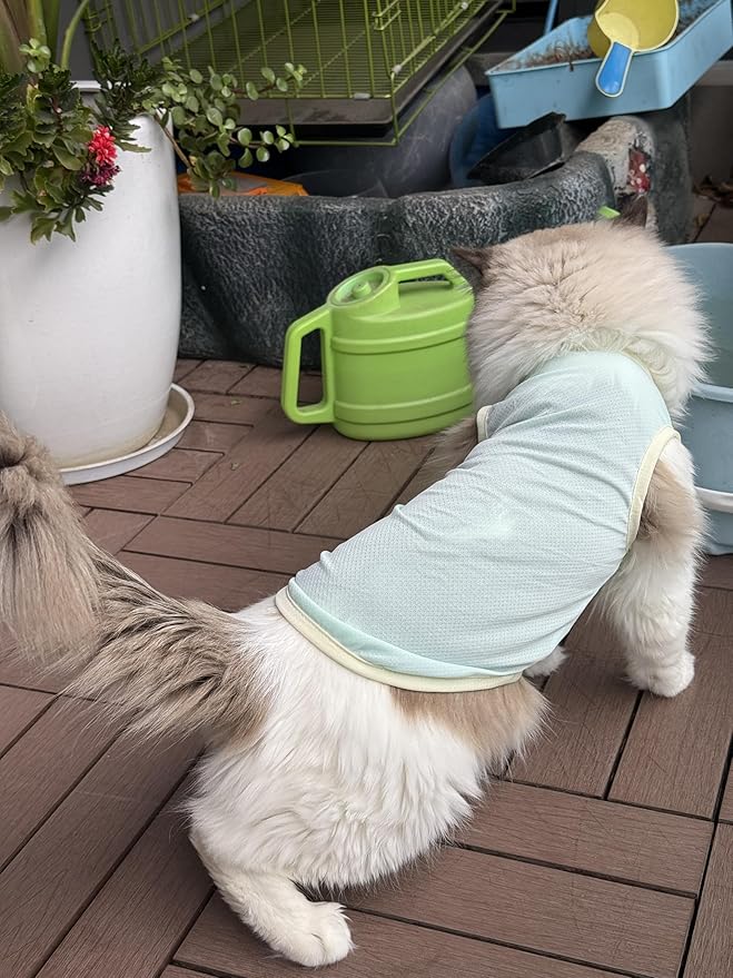 2Pcs Cooling Shirts for Small Dogs, Sleeveless Dog Vest, Lightweight Breathable Dog Summer Tank Top Sun Protection Shirts for Dogs Cats Pet Apparel (MintGreen Pink, X-Small Size for 1.1-3.3lb Pets)