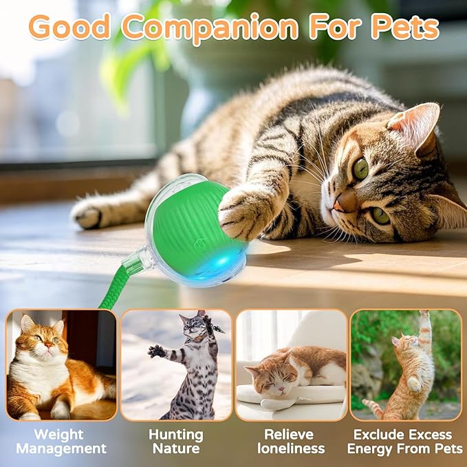 Goosheep 2025 New 1Pack Cat Ball Kitten Toys for Indoor Interactive Kitty Ball Toy Speedy Tail 360° Automatic Rolling for Dog, Cat(Green)