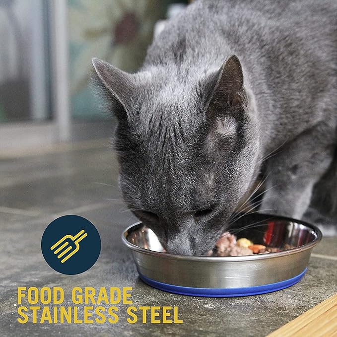 OurPets Premium DuraPet Cat Dish 16oz