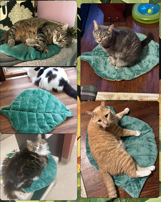 Cat Mat Self Warming Cat Bed 26"x20" Leaf Shaped Cotton Soft Warm Pet Pad Blanket for Indoor Bed Couch Sofa Floors Cat and Dog (Green)