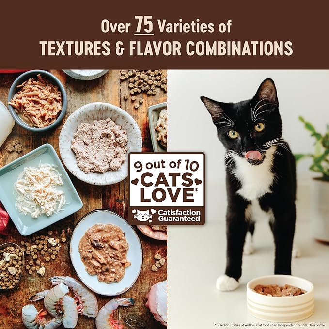 Wellness CORE+ Pate Adult Canned Wet Cat Food for Indoor Cats, Natural, Protein Rich, Grain Free, Chicken Recipe, 5.5 oz, Pack of 12 Cans