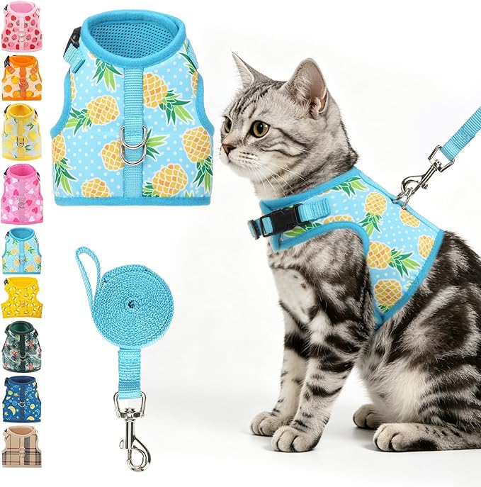 BINGPET Cat Harness and Leash Set Escape Proof, Fashionable Adjustable Mesh Harness for Walking, Soft Cute Breathable Easy Control Cat Vest for Kitten Puppy Small Medium Large Cats