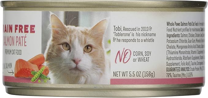Whole Paws, Grain-Free Wet Cat Food, Salmon Paté Loaf Recipe, 5.5 Ounce