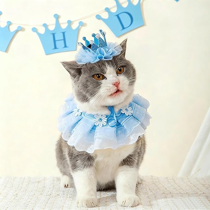 Cat Princess Costumes Cat Crown Hat & Lace Bandana Scarf Set, Puppy Party Hat for Small Dogs & Cats, Lace Outfit for Cats and Small Dogs Birthday Party (Blue)