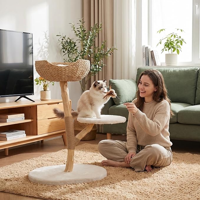 Modern Cat Tree, Natural Pear Wooden Cat Tower for Indoor Cats, Real Branch Luxury Cat Condo with Scratching Post & Hanging Toy Ball（35" Tall）