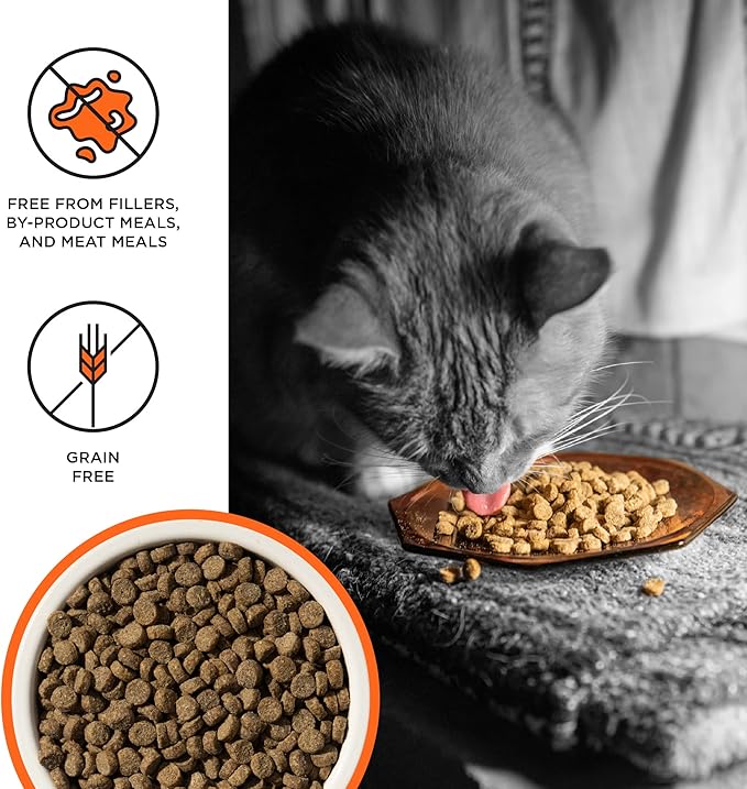 Liberty Dry Food Chicken Recipe for Cats, 10lb