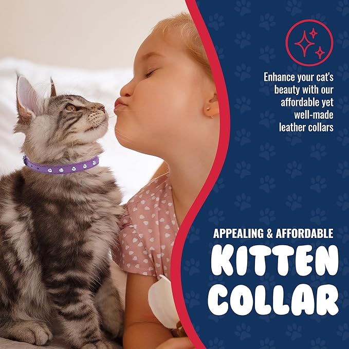 Studded Cat Collar, Genuine Leather Kitten Collar, Sturdy Breakaway Cat Collar with Bell and Elastic Stretch, Cat Accessories, Orchid Purple, 10 x 1/2 inches - Angel Pet Supplies