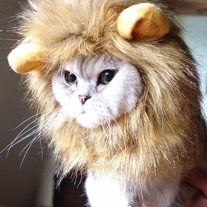 Idepet Realistic Funny Mane for Dogs & Cats - Lion & Cat Costumes, Halloween Hat for Dogs & Cats