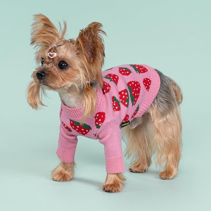 Fitwarm Adorable Strawberry Dog Sweater, Thermal Dog Winter Clothes for Small Dogs Girl, Pet Outfit, Pink, Red, White, Green, Small