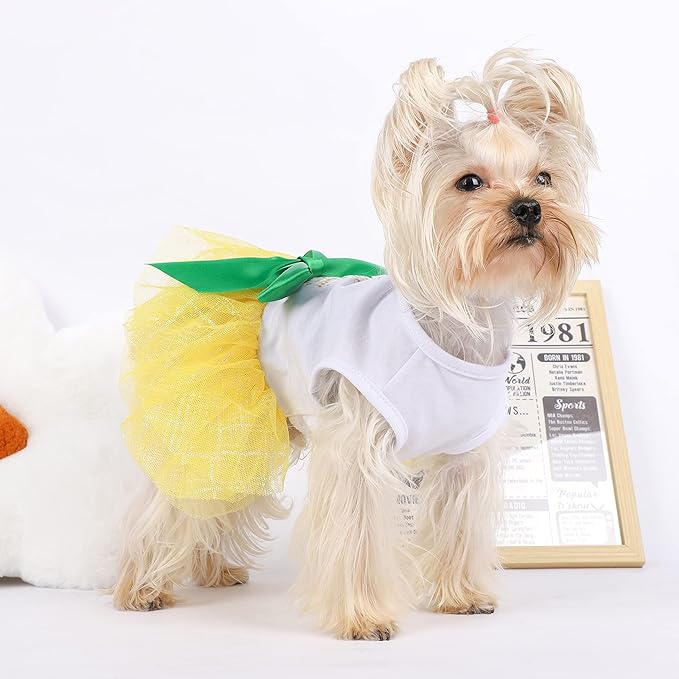 Dog Clothes Summer Dog Dresses for Small Medium Dogs Girl Pineapple Mesh Dress Dog Outfit, Summer Tutu Dog Dresses Cat Apparel, Cute Pet Puppy Clothing Doggie Outfits, Small, Yellow