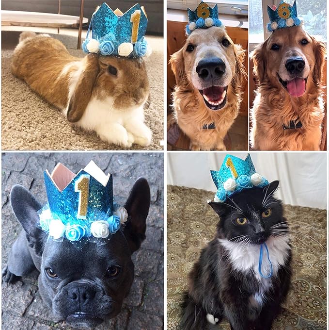 Dog Birthday Hat Adjustable Reusable Crown for Dogs Cats Puppy Kitten Birthday Party Headband with Numbers(Blue)