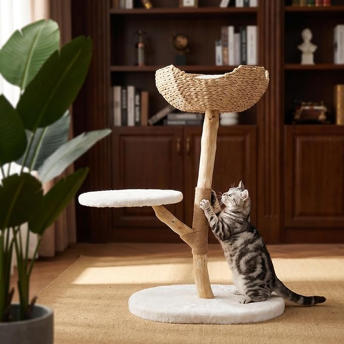 Modern Cat Tree, Natural Pear Wooden Cat Tower for Indoor Cats, Real Branch Luxury Cat Condo with Scratching Post & Hanging Toy Ball（35" Tall）