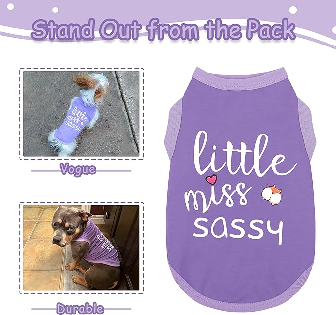 Paiaite Dog Clothes Fashionable Sleeveless Pet Vest: 'Little Miss Sassy' Printed Cotton Dog Shirt, Ideal for Small, Medium, and Large Breeds, Ensuring Comfort and Breathability Purple 3XL