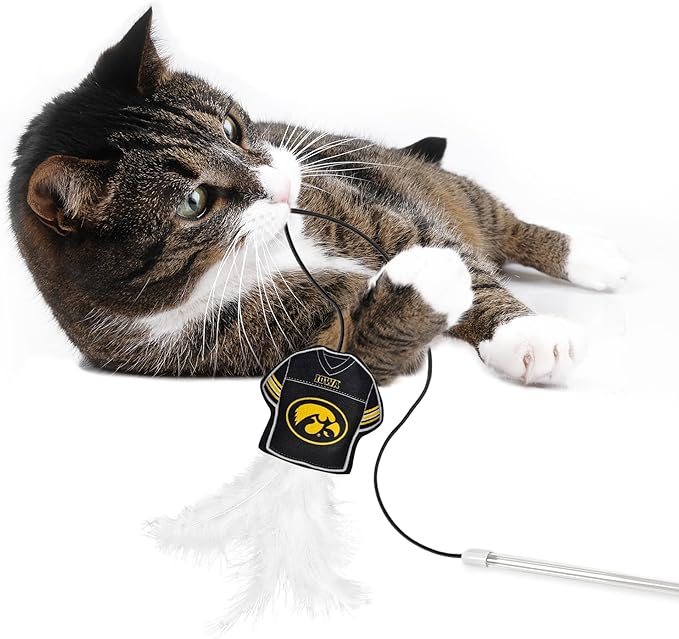 NCAA Iowa Hawkeyes Team Jersey Wand with CAT NIP, Cat Toy Jersey Shaped Plush Teaser Toy for Cats & Kittens - Interactive Pet Toy for Play & Exercise