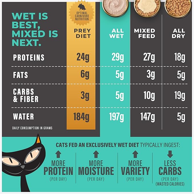 Tiki Cat Solutions Mousse Skin & Coat Mousse, Salmon Recipe, Specially Formulated with Omega Fatty Acids, Functional Wet Cat Food for Adult Cats, 2.4 oz. Pouch (12 Count)