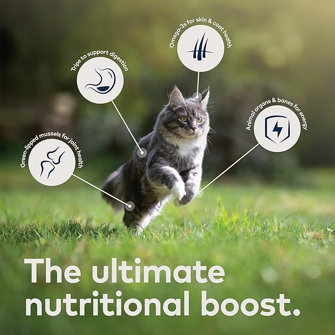ZIWI Peak Wet Cat Food – All Natural, High Protein, Mackerel & Lamb, Grain Free, Limited Ingredient, with Superfoods (3oz Cans - Pack of 24)
