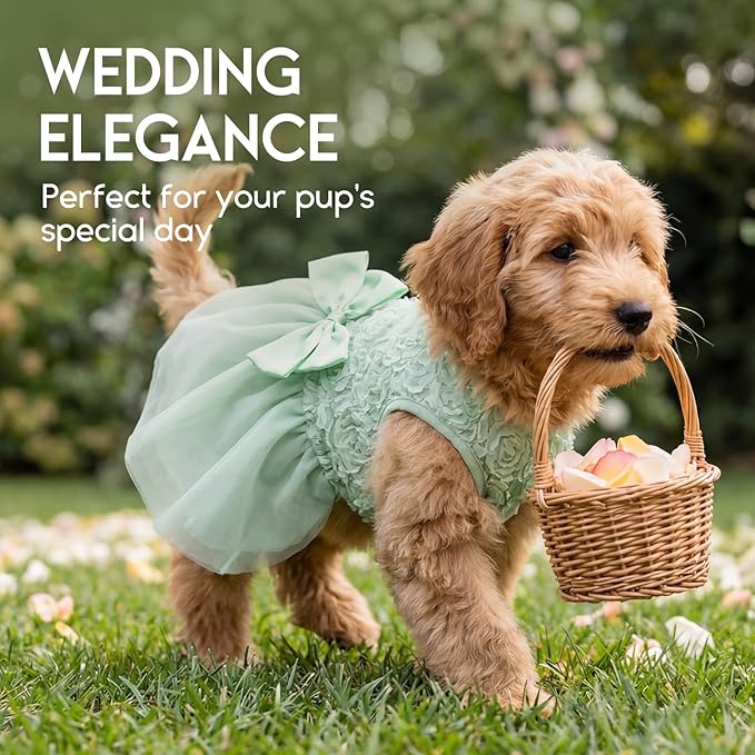 ASENKU Dog Dress Pet Wedding Dress Princess Lace Puppy Birthday Party Outfit Formal Apparel Girl for Small Medium Dogs Cats (Medium, Green)