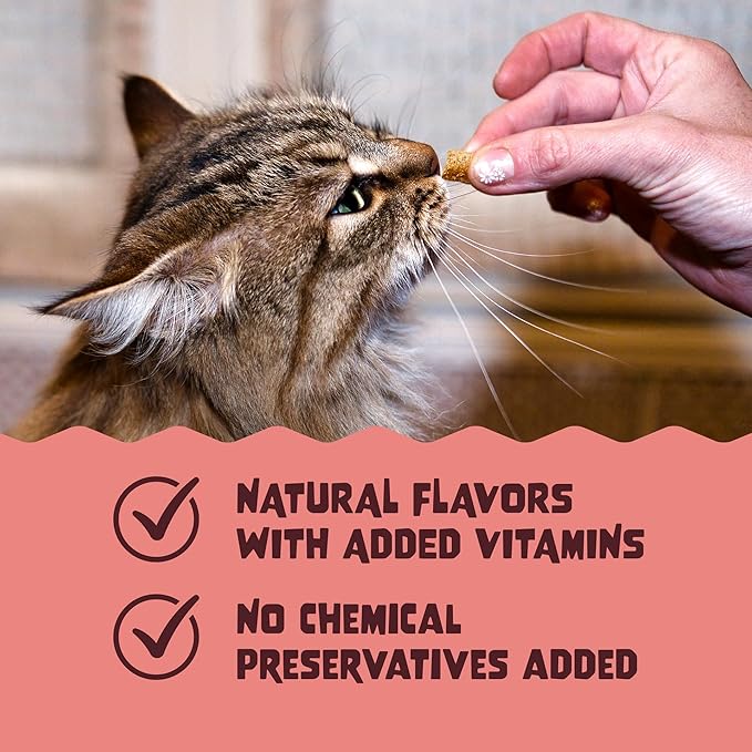 Amazon Basics Crunchy & Creamy Salmon Flavor Cat Treats 16 oz. Bag