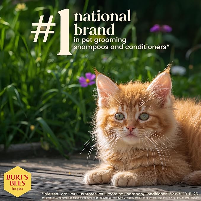 Burt's Bees for Pets Tearless Kitten Shampoo with Buttermilk and Honey, 99% Natural Origin Gentle Cat Shampoo for Sensitive and Itchy Skin, pH Balanced and Fragrance-Free, 10 Fl Oz