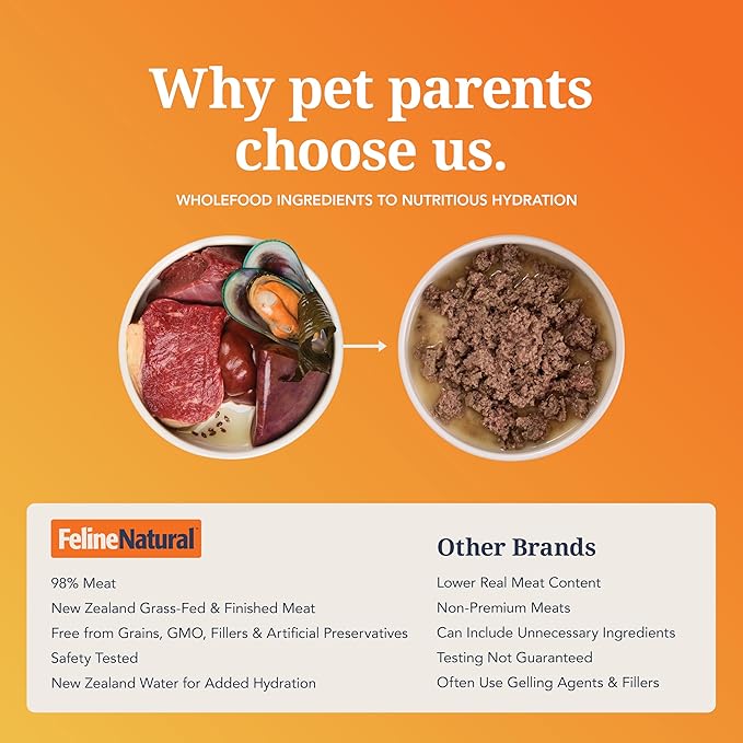 Feline Natural New Zealand Canned Catfood Wet Food, High-Meat, Low-Carb, & Grain Free Cat Food Wet, Beef Feast, 6 oz, Pack of 12