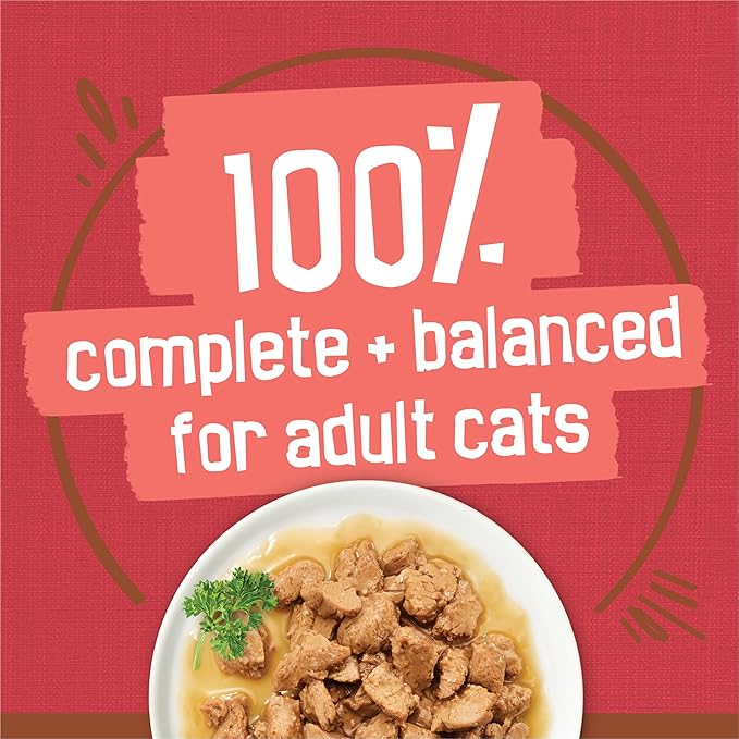 Friskies Purina Extra Gravy Wet Cat Food Chunky with Beef in Savory Gravy - 5.5 oz. Cans,(Pack of 48)