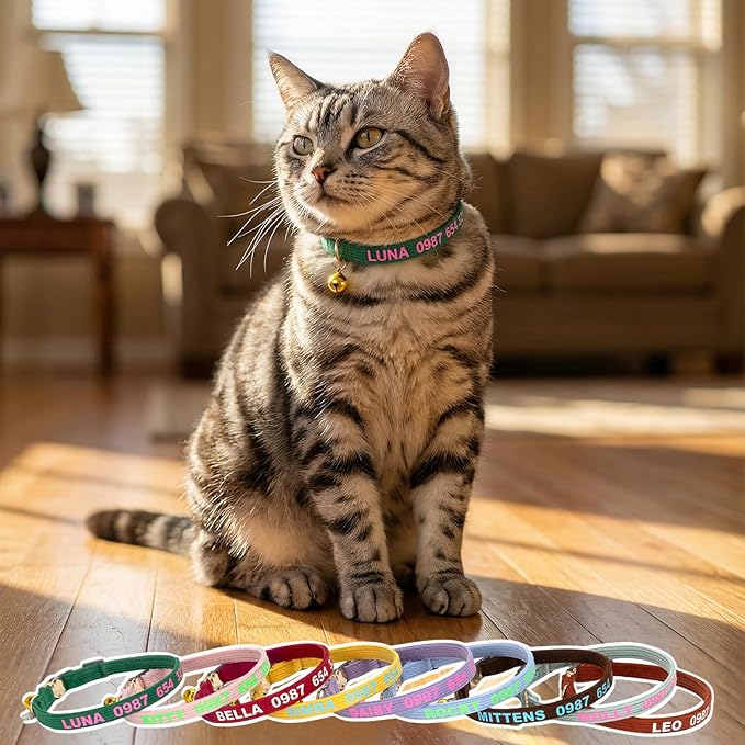 Personalized Custom Cat Collar, Glow in the Dark Text, Soft Corduroy, Metal Breakaway Safety Buckle, Adjustable for Kitten & Cats (Breakaway)