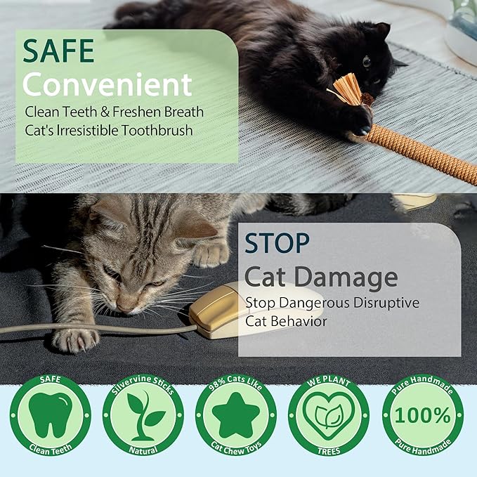 4Pcs Cat Chew Toys | 2 Silvervine Sticks & 2 Cat Cotton Rope Toys with Natural Catnip Stuffed Bags | Safe Tooth Cleaning Cats Indoor Toys | Silver vine Sticks & Catnip Rope Kitten Tooth Cleaning Toys