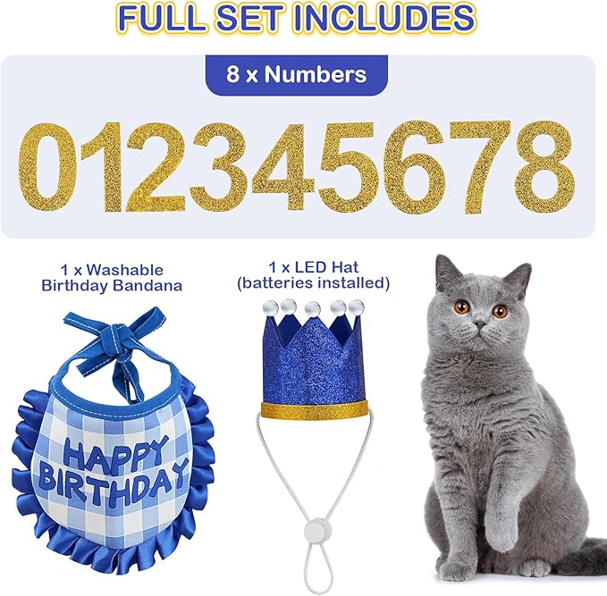 Cat Birthday Hat with Bandana, Light Up Party Outfit, Sapphire Blue